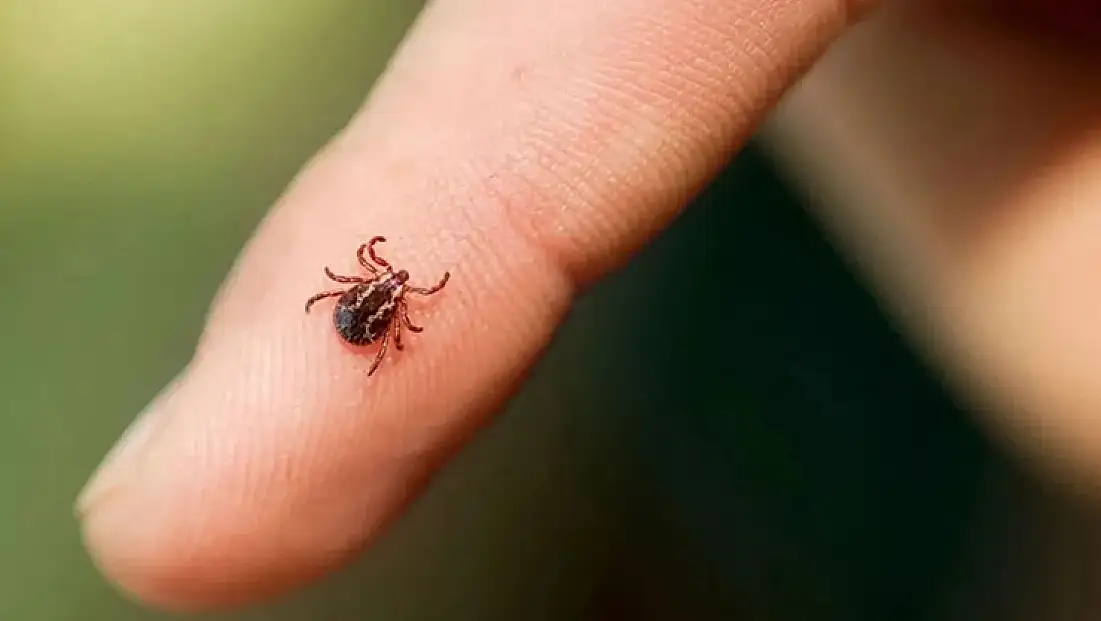 Elazığ'da KKKA şüphesiyle tedavi gören hasta öldü