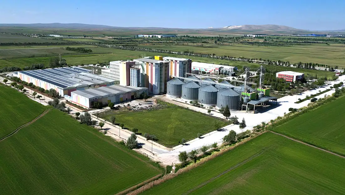 Golda Gıda’nın Borsada satış tarihleri 1-2 Temmuz 2026