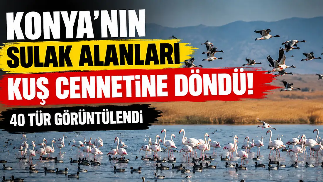 Konya'da binlercesi aynı anda görüntülendi