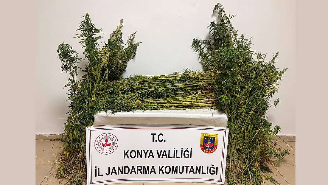 Konya’da jandarmadan zehir tacirlerine geçit vermedi!