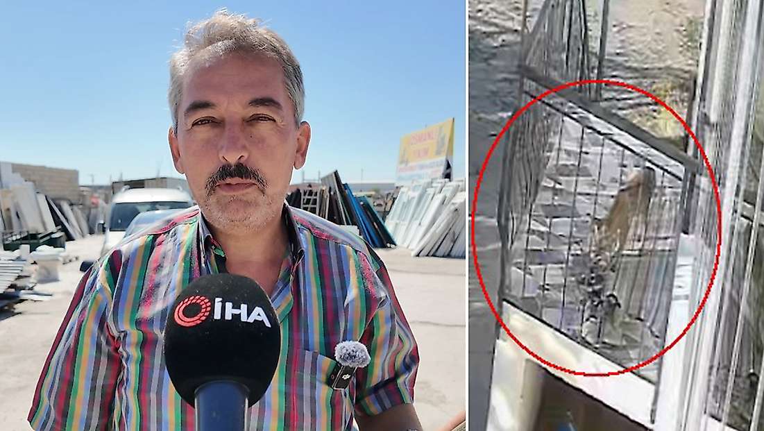 Konya'daki terlik hırsızlığının arkasından bakın ne çıktı!