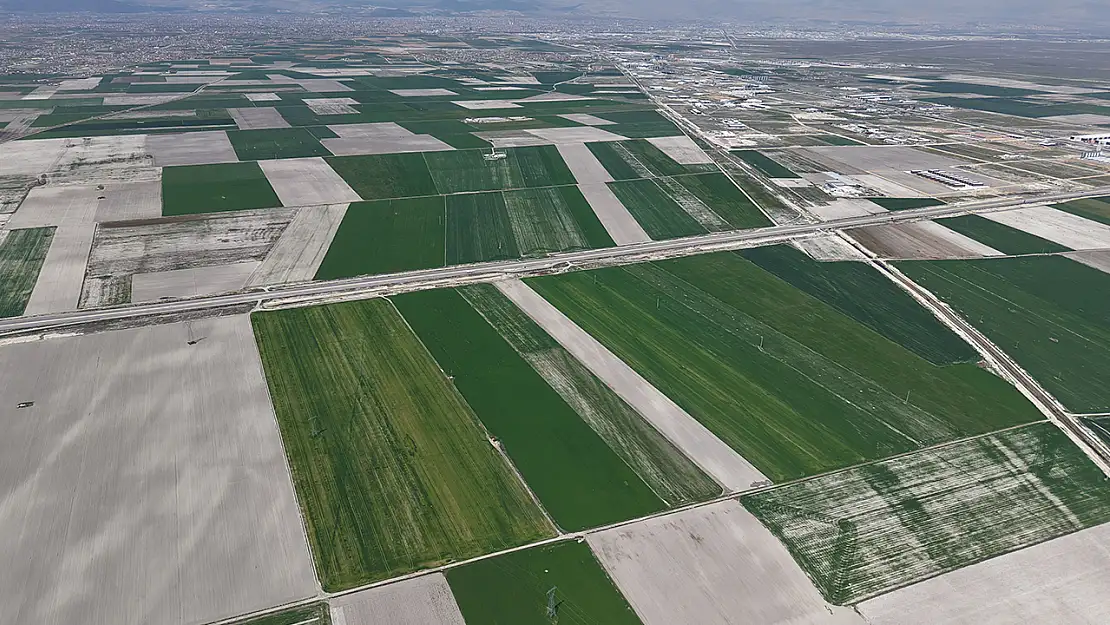 Konya Ovası'ndan müjde geldi: Bereket patlaması yaşanacak
