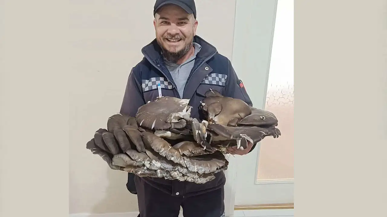 Konya'da doğada bulduğu mantar şaşkına çevirdi