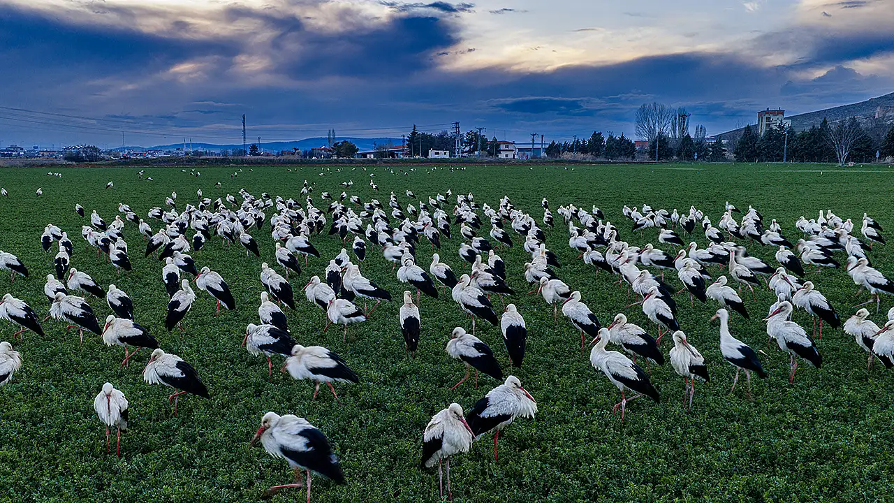 Konya'da göz kamaştıran manzara