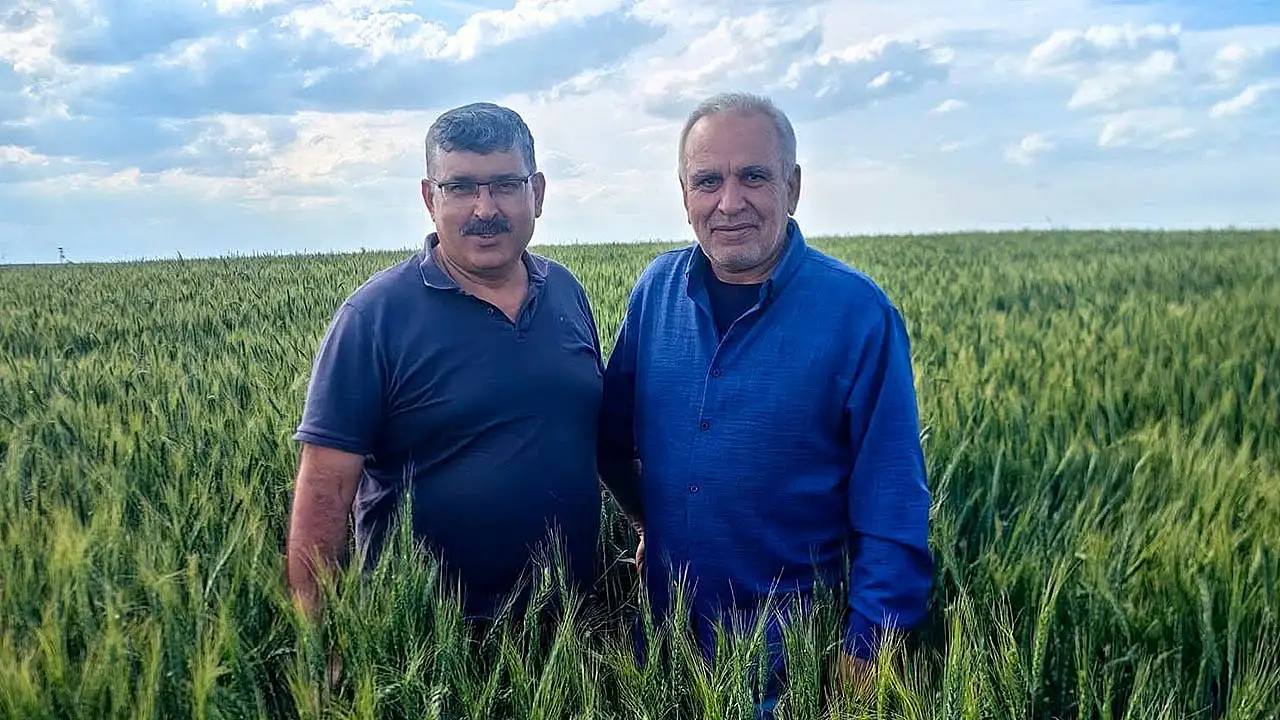 Konya'da hububat üreticilerine önemli uyarı!