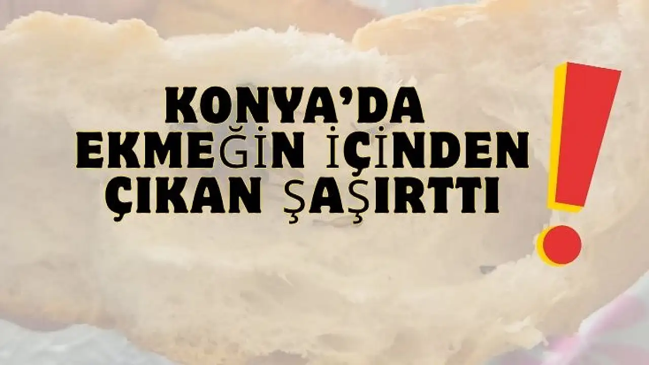Konya'da vatandaş ekmeği bölünce gördüğü manzara şok etti!