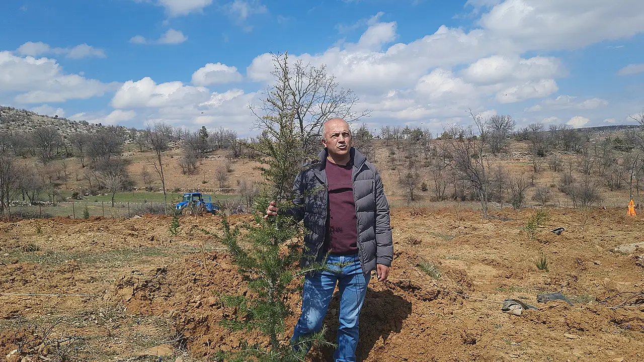Dikilitaş Yaylası ve Aygırpınarı bölgesindeki 3 bin ıhlamur ağacı dikiminin ardından, Dedi bölgesinde devam eden çalışmalarda fidanlar koruma altına alınarak kamera sistemleriyle 7/24 güvenlik sağlanıyor.