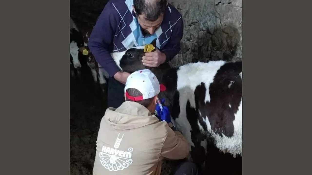 Konya'da hayvan sağlığı kontrol altında