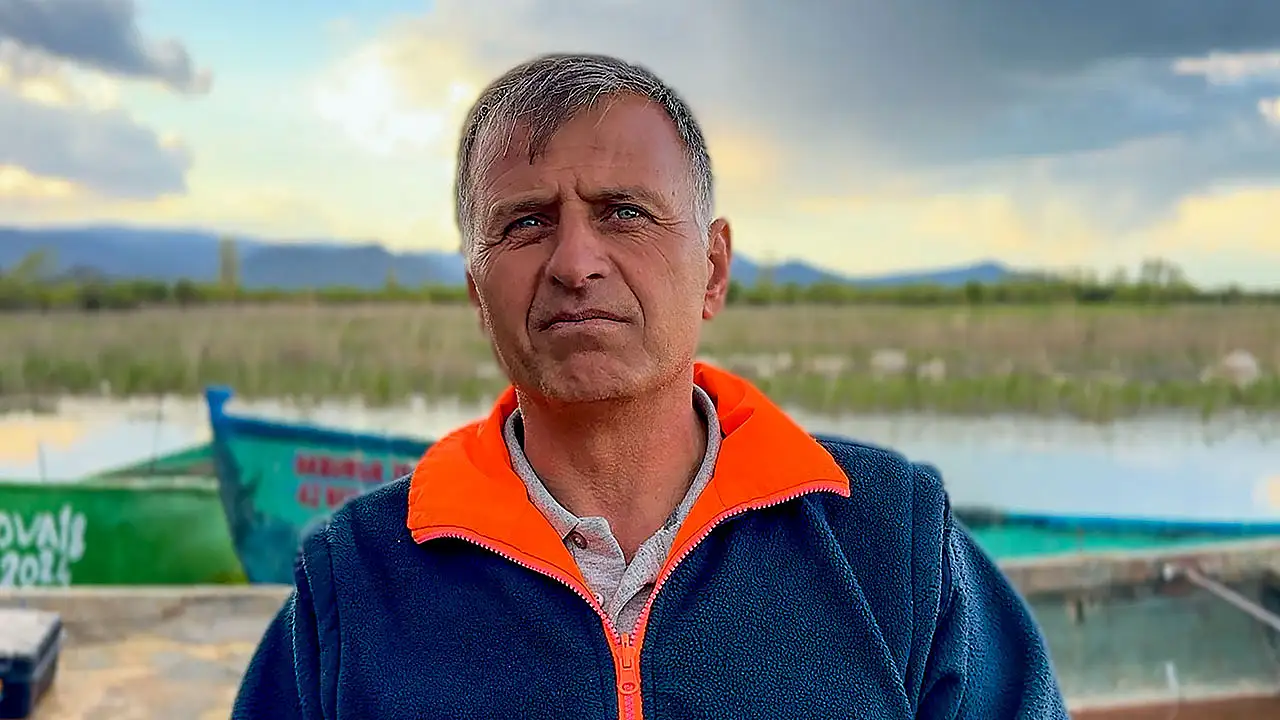 Konya'da ilginç yöntem: Çobansız hayvancılık!