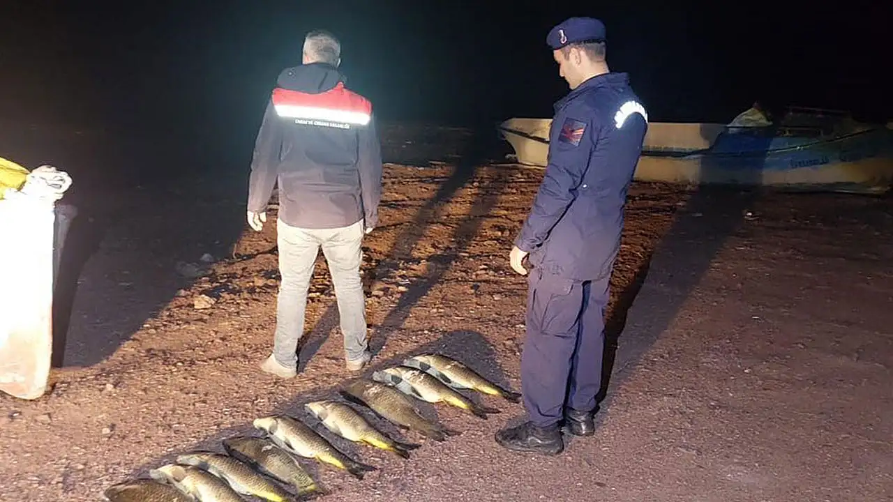 Konya'da kaçak avcılara ağır ceza!