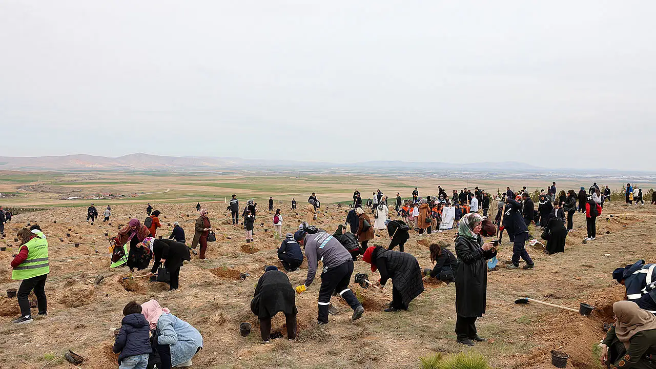 Konya'da yeşil seferberlik