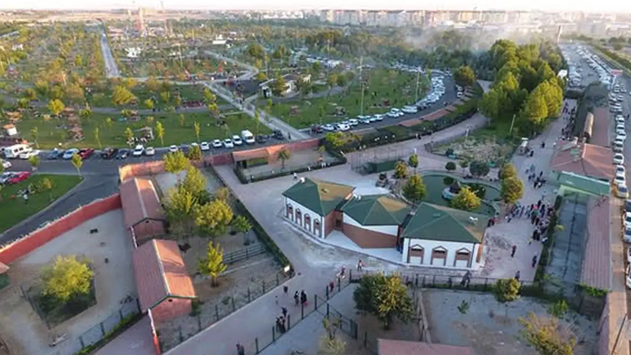 Ölümden dönen maymunun yeni yuvası Konya oldu