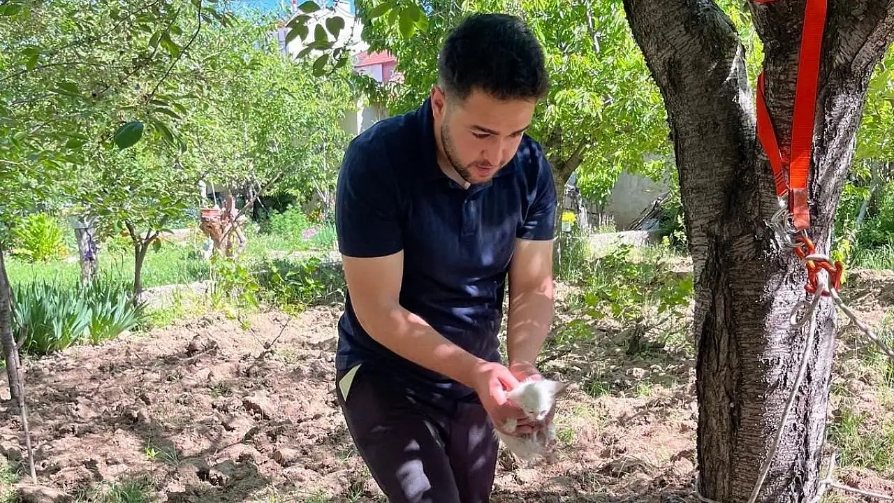 Konya'da yavru kedi operasyonu