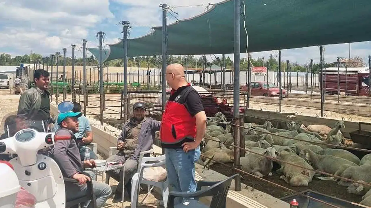 Konya'da kurban pazarı kontrolleri artırıldı