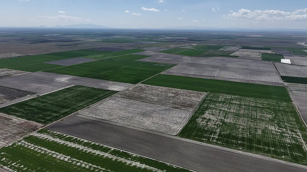 Türkiye'nin tahıl ambarı olarak bilinen 2 milyon 200 bin hektarlık Konya Ovası'nda, ilkbahar döneminde düşen bol yağışlar üreticinin yüzünü güldürdü.