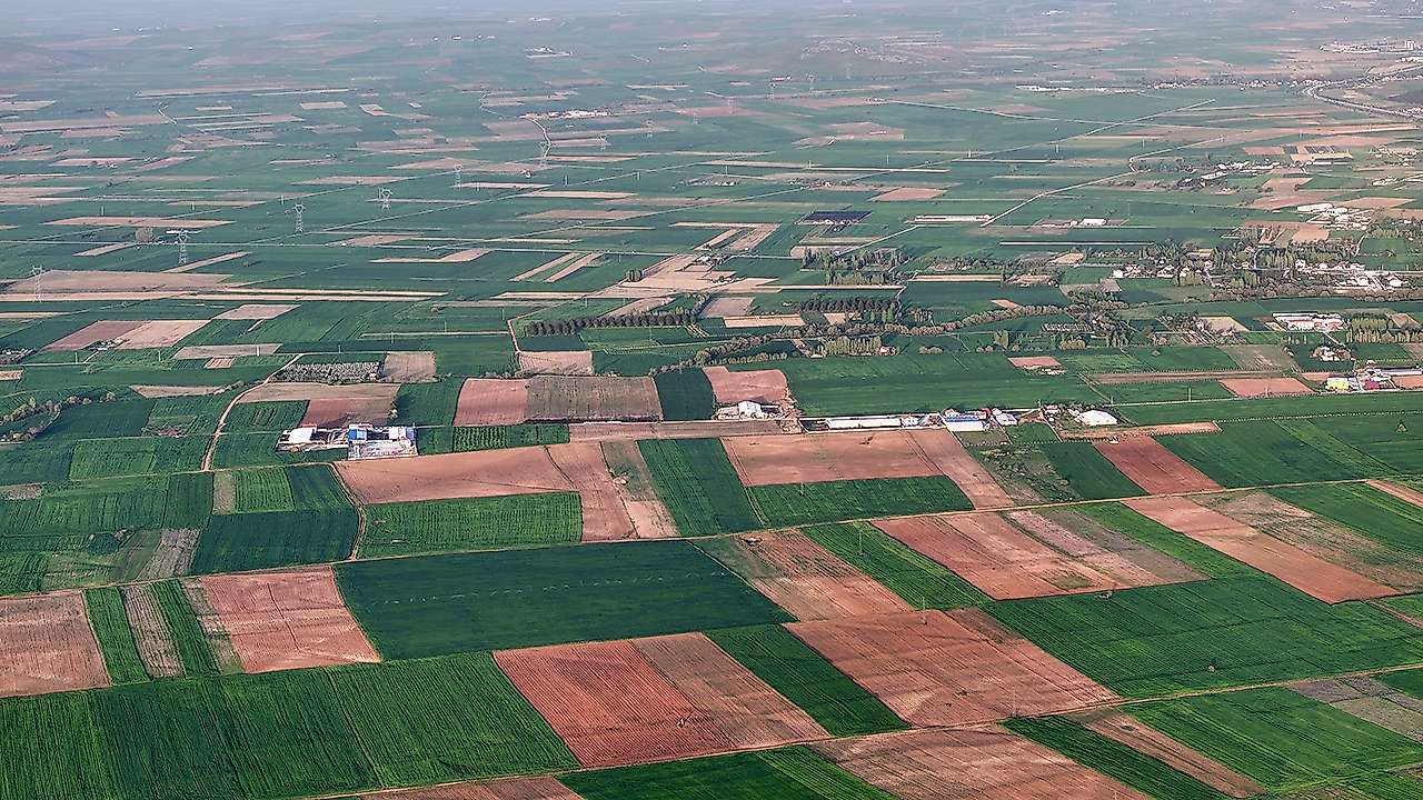 Geçtiğimiz yıllarda kuraklık nedeniyle yağmur dualarına çıkılan bölgede, bu yıl bitkilerin kritik büyüme dönemlerini stressiz atlatması yüksek rekolte beklentisini artırdı.