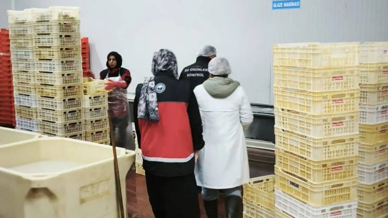 Beyşehir'de balıkçı işletmeleri denetlendi