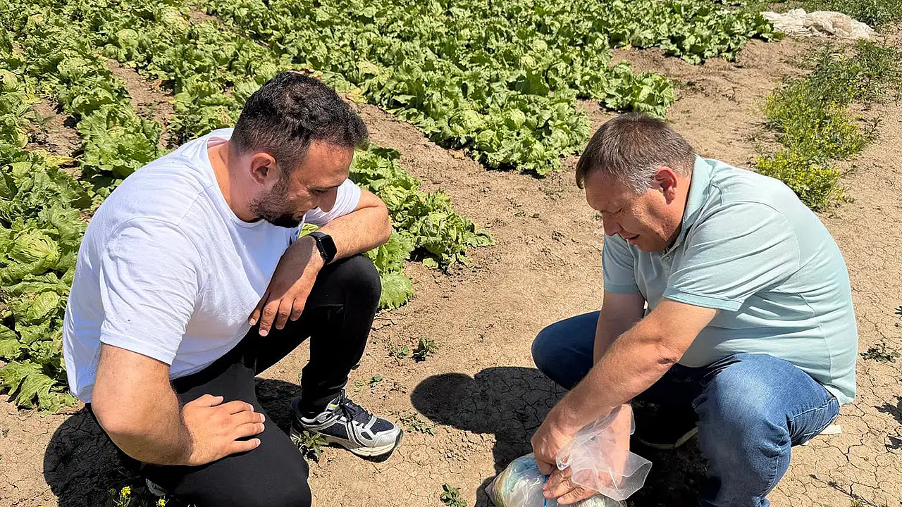 Konya'da pestisit denetimleri yapılıyor
