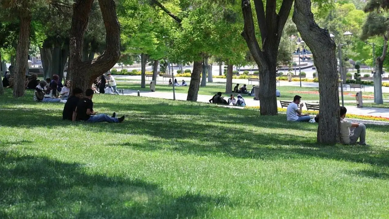 Konya'daki uzman uyardı: Yazla birlikte ölümcül risk kapıda!