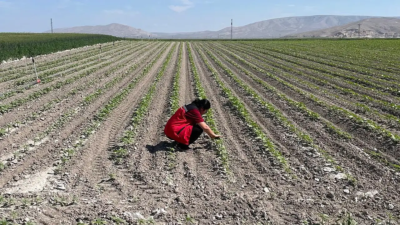Konya'nın İlçelerinde üretim alanlarına sıkı takip