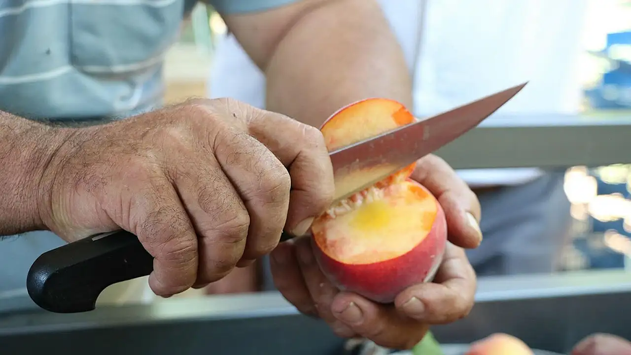 Konya pazarında şeftali bolluğu yaşanacak! 100 bin tonluk hasat başladı