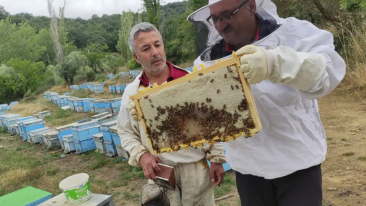 Akşehir'de arı üreticilerinin talepleri dinlenildi