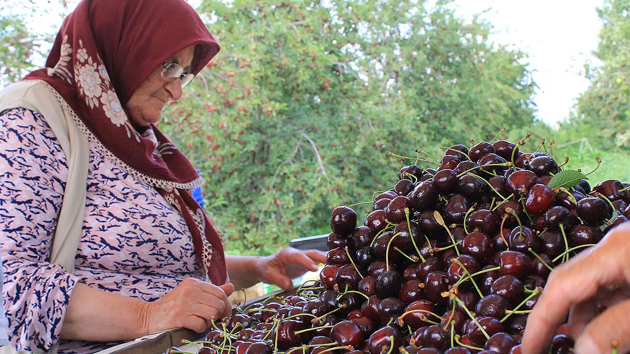 Batı dünyası Konya'nın bu lezzetinden vazgeçemiyor!