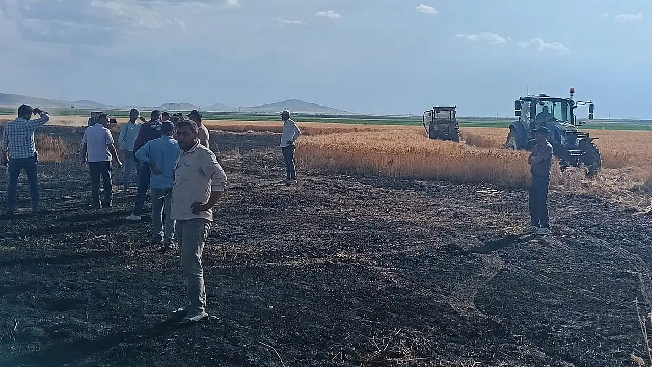 Konya'da buğday tarlası alevlere teslim oldu