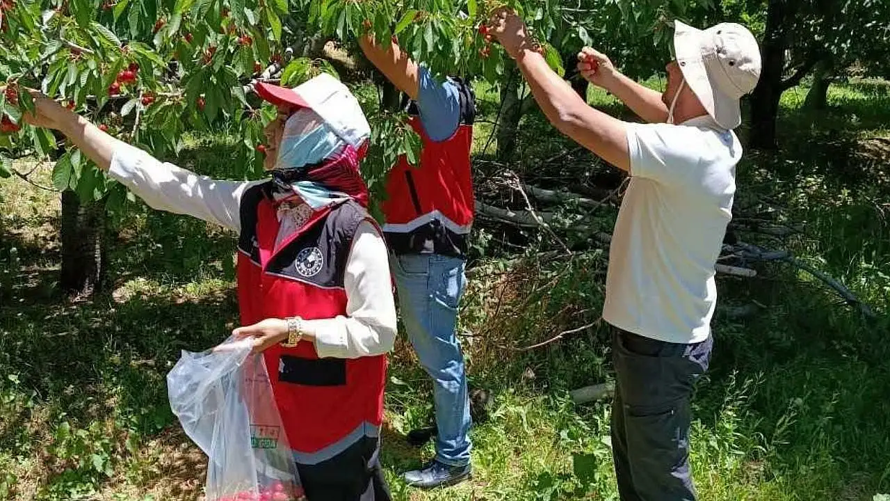 Konya'da hasat öncesi denetimler sürüyor