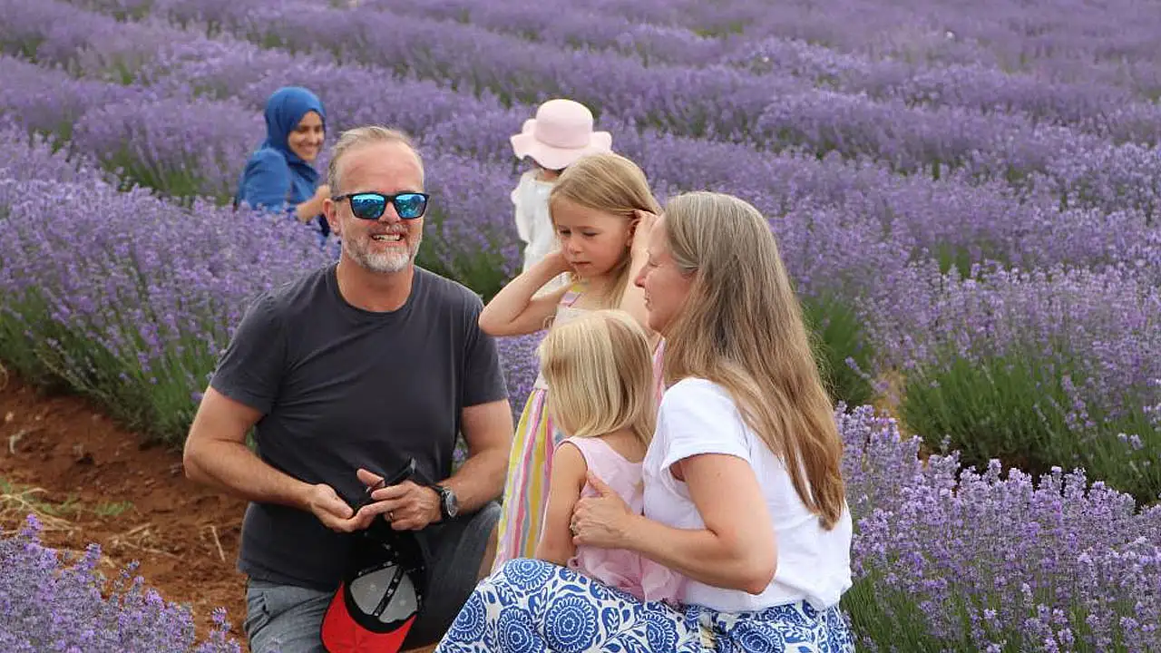 Konya'da mor şölen! Lavanta tarlası ilgi odağı oldu