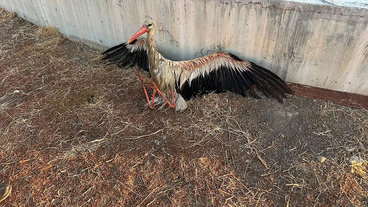 Konya'da yürekleri ısıtan kurtarma operasyonu