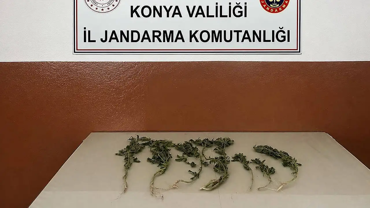 Konya'da zehir tacirlerine geçit yok! Jandarmadan uyuşturucu operasyonu
