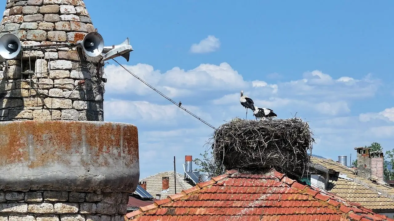 Konya'daki bu 661 yıllık cami neden özel?