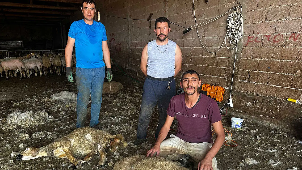 Konya'nın 31 ilçesinde hayvancılığa tam destek