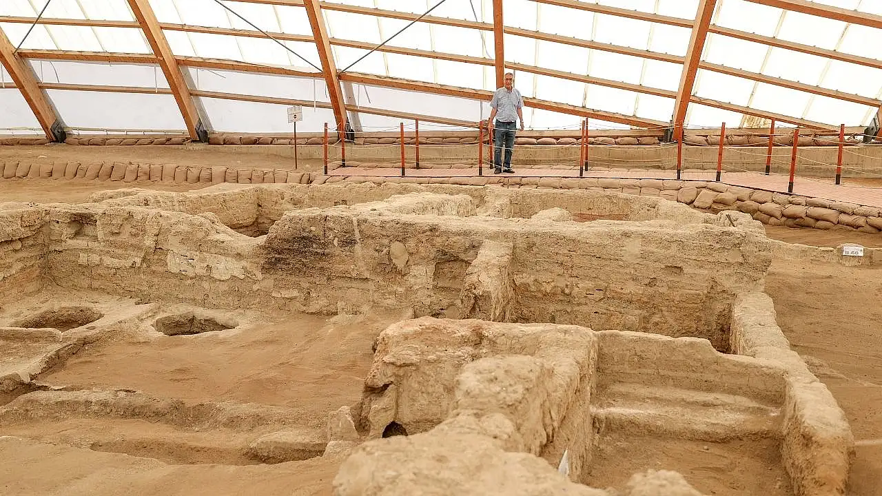 Koyun otlattığı Çatalhöyük hayatını değiştirdi