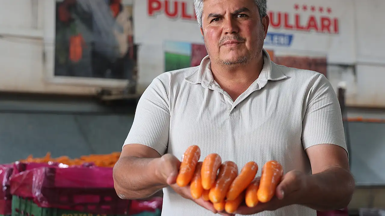 Yüzde 67'si Konya'dan çıkıyor! Tarladan dünyaya uzanan 120 günlük emek