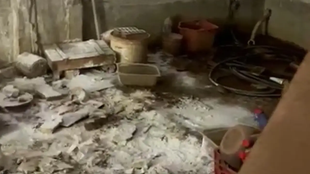 İşte pire istilasına neden olan hayvanların tutulduğu ortam!