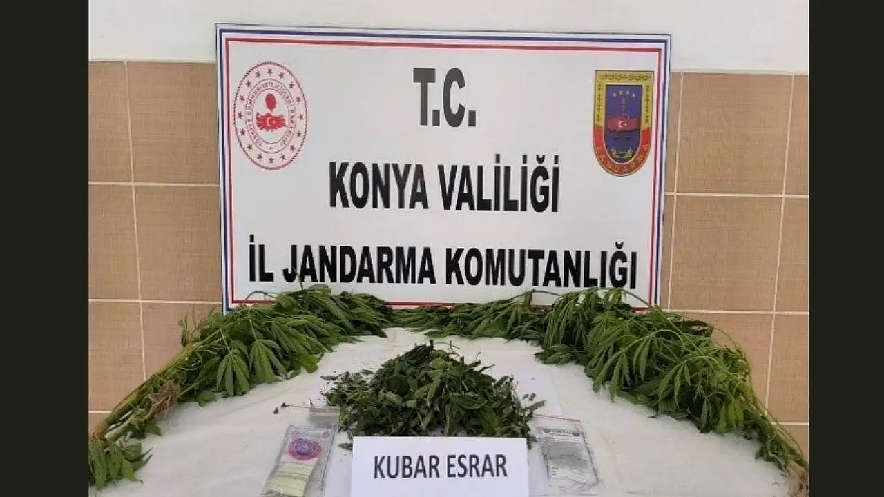 Konya'da jandarmadan tutuklamalı operasyon