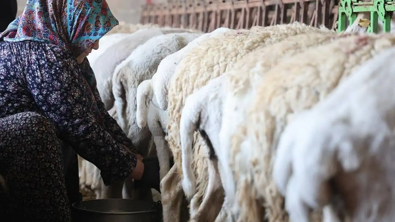 Konya'da asırlık gelenek kadınların emeğiyle yaşatılıyor
