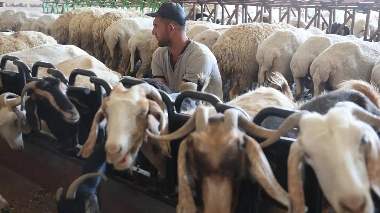 Konya'da asırlık gelenek kadınların emeğiyle yaşatılıyor