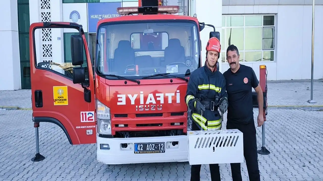 Konya'da itfaiyeden 16 metredeki kediyi Kurtarmada zekice hamle
