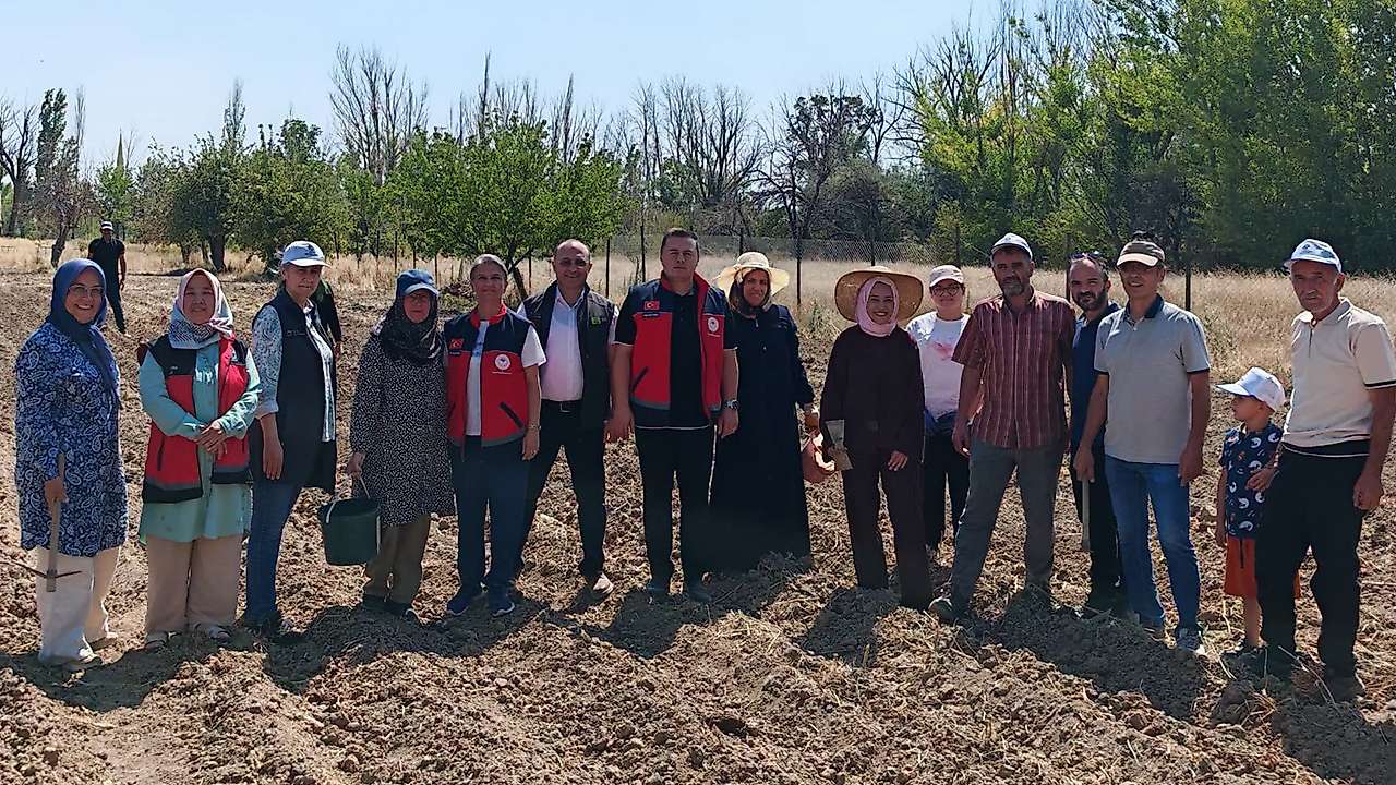 Konya'da kırmızı altın toprakla buluştu