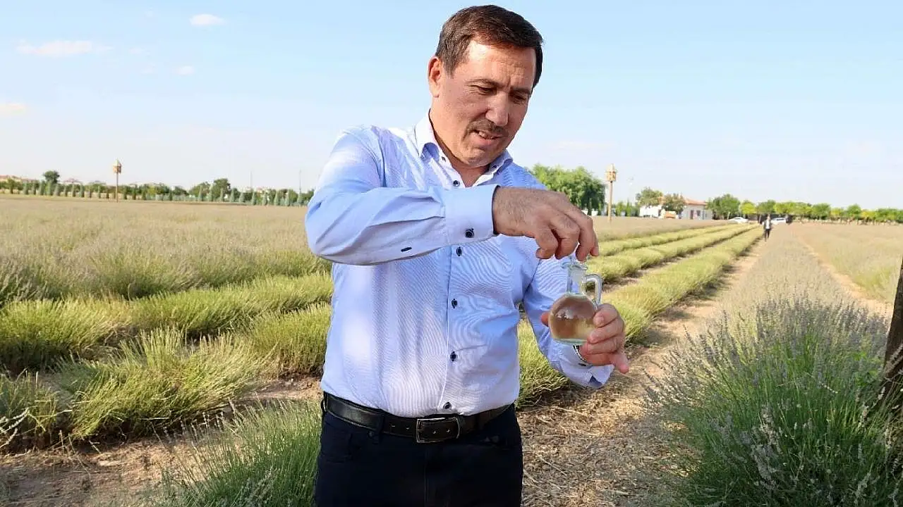 Konya'da mor şölen bitti, hasat başladı!