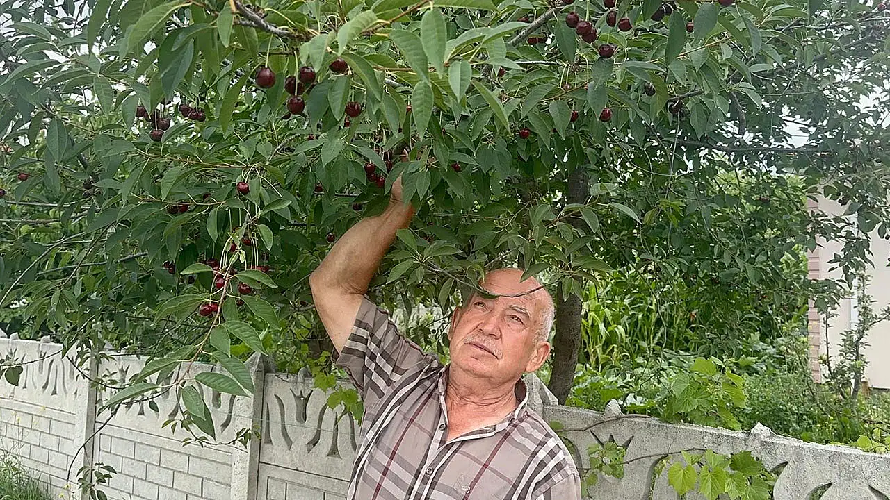 Konya'da yüzleri güldürecek sezon başladı