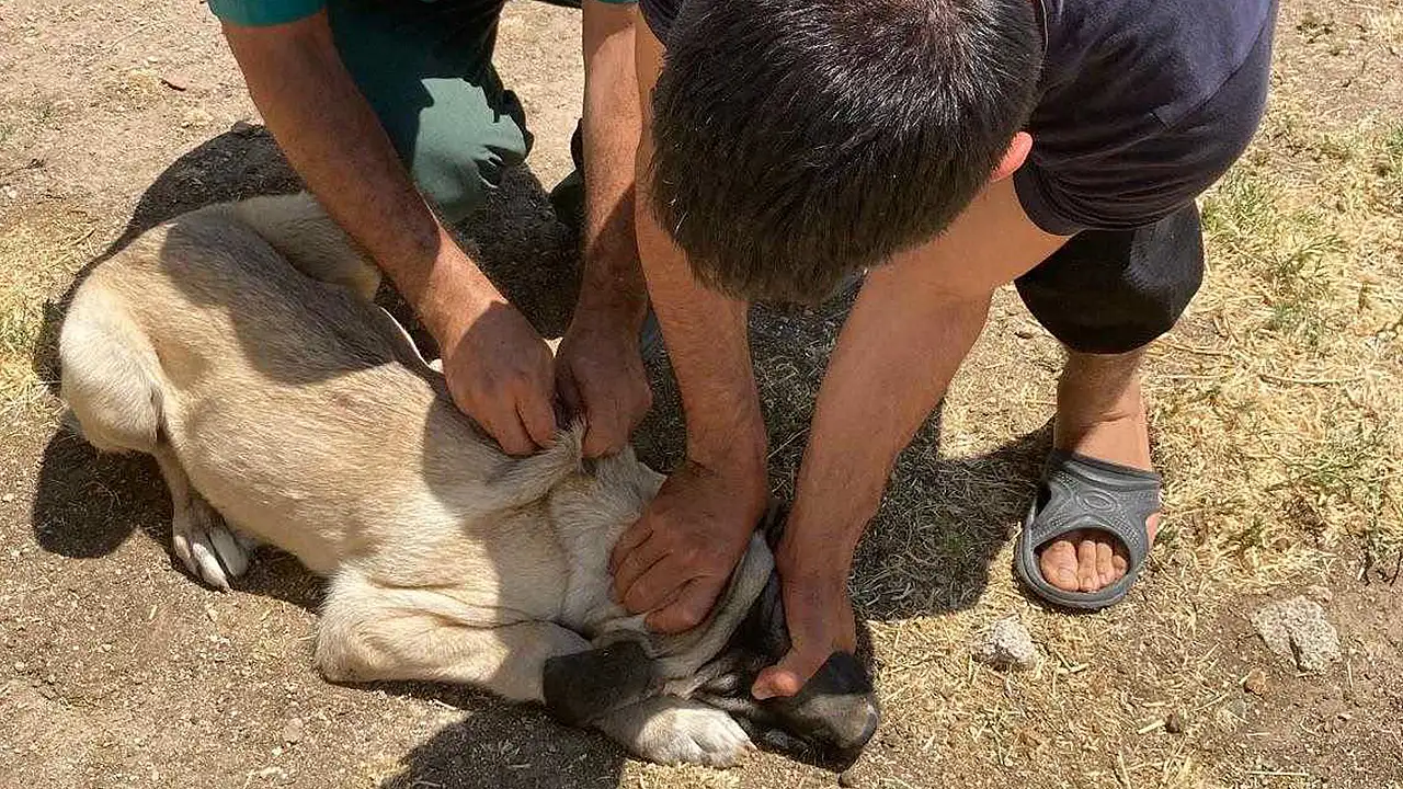 Konya tarımı geleceğe emin adımlara ilerliyor