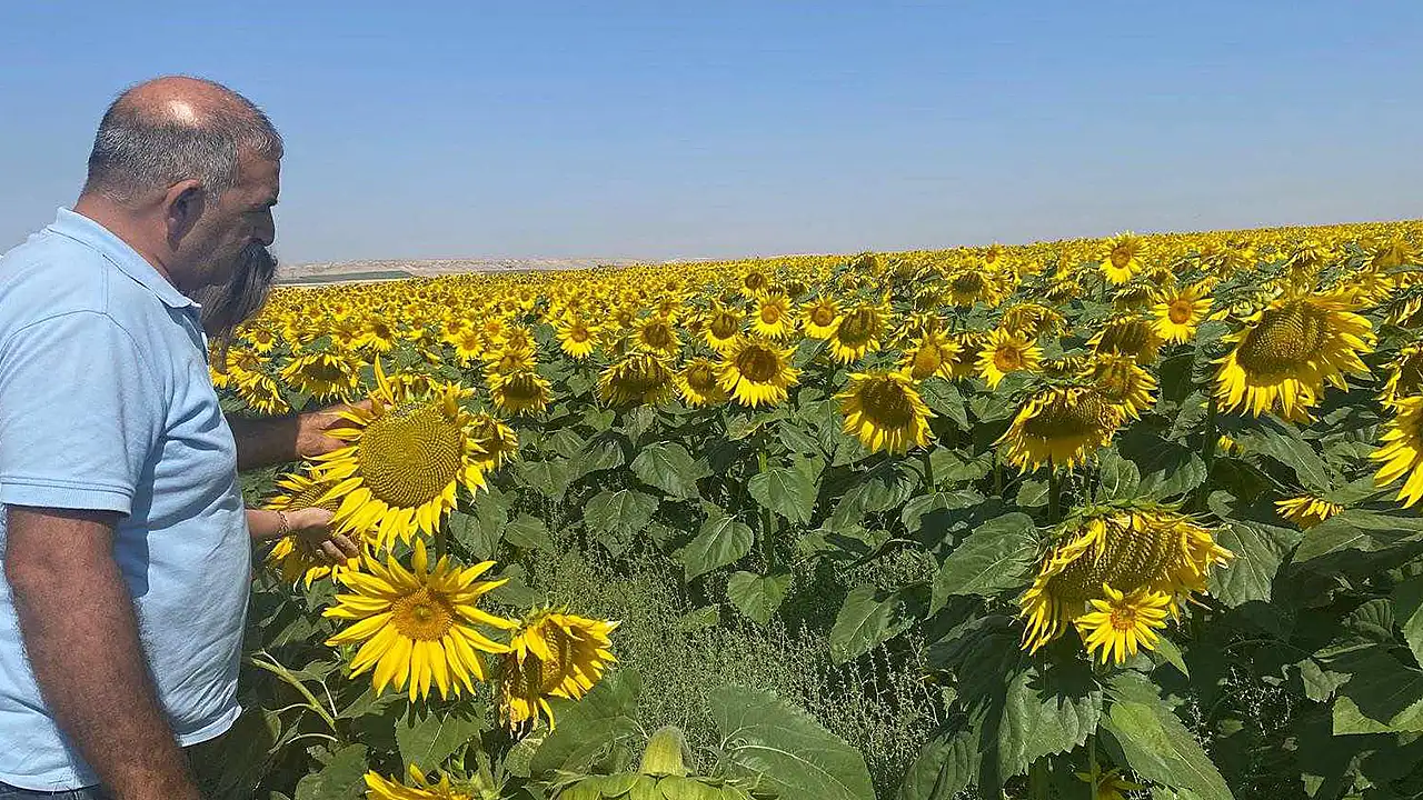 Konya tarımı geleceğe emin adımlara ilerliyor