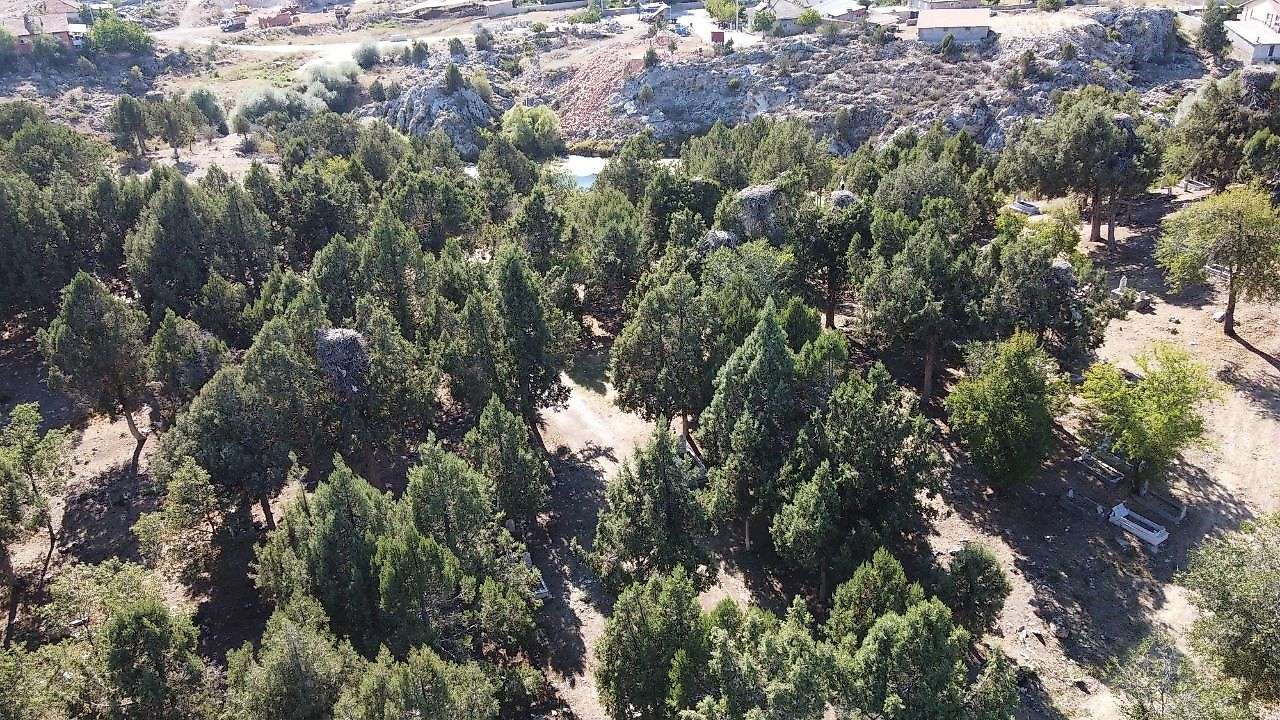 Konya'da o ilçenin misafirleri gitti