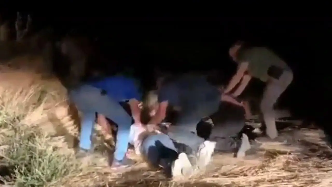 Konya'daki kar maskeli soyguncular yakalandı