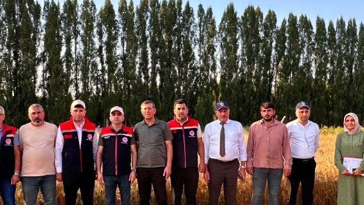 Tahıl ambarı Konya'ya yeni tohum: Çetin kışa meydan okuyor