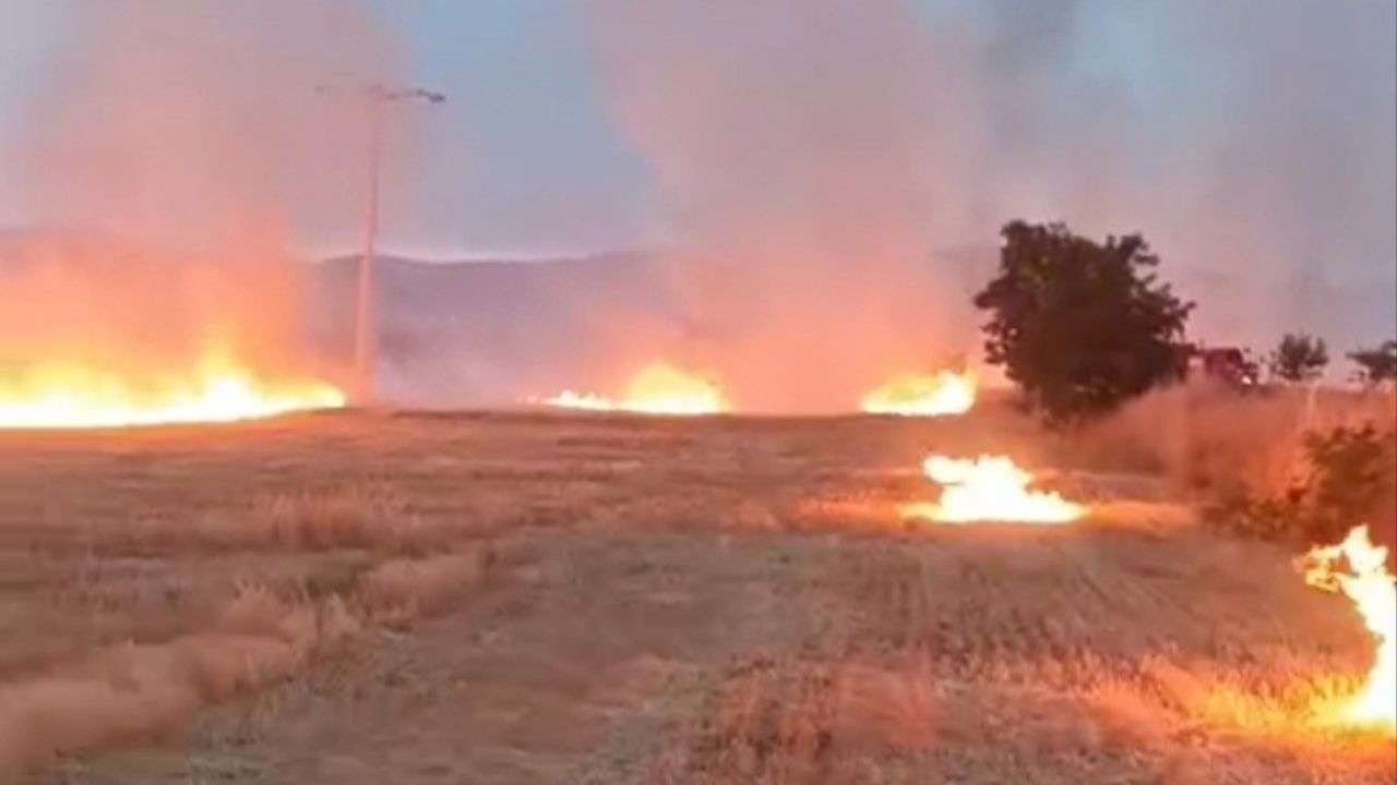 Konya'da anız yangınları geceyi aydınlattı